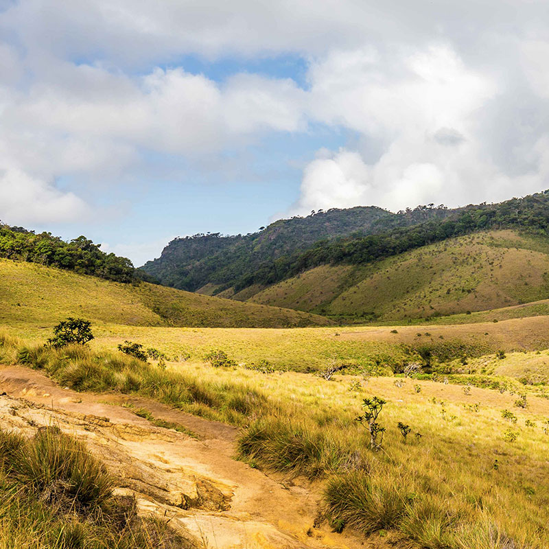 Horton Plains