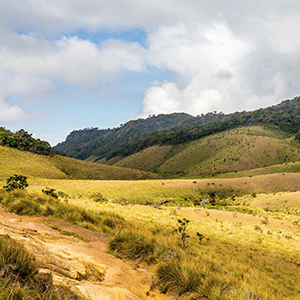 Horton Plains National Park