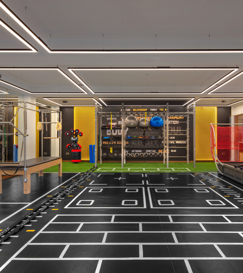 Hybrid Gym