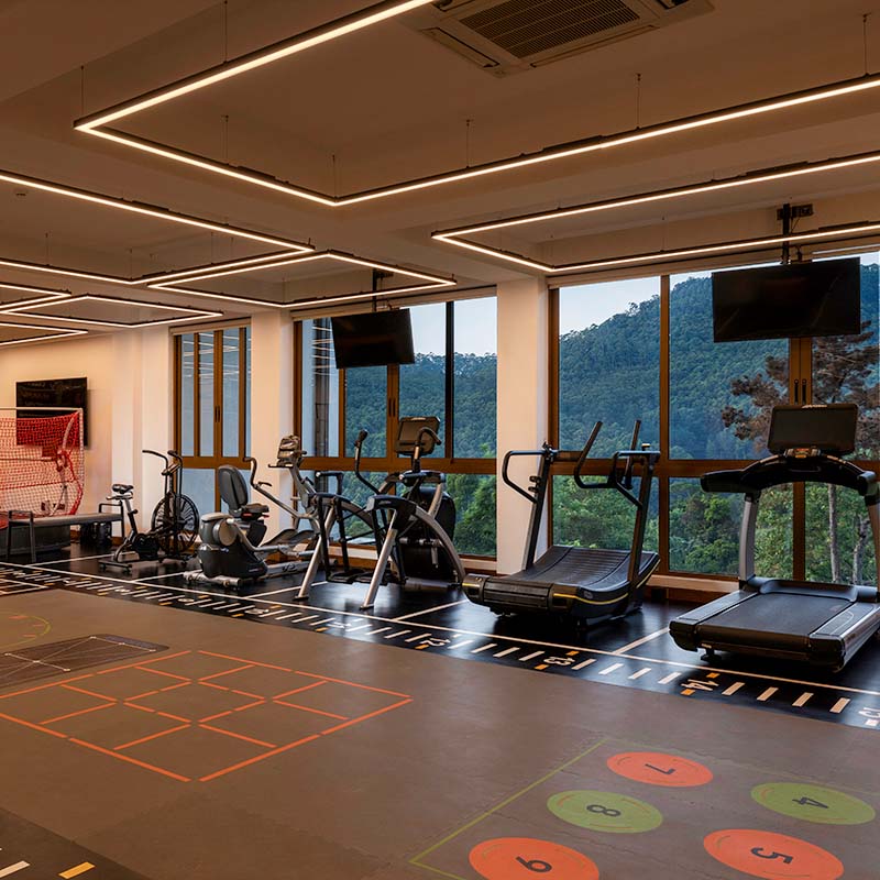 Hybrid Gym